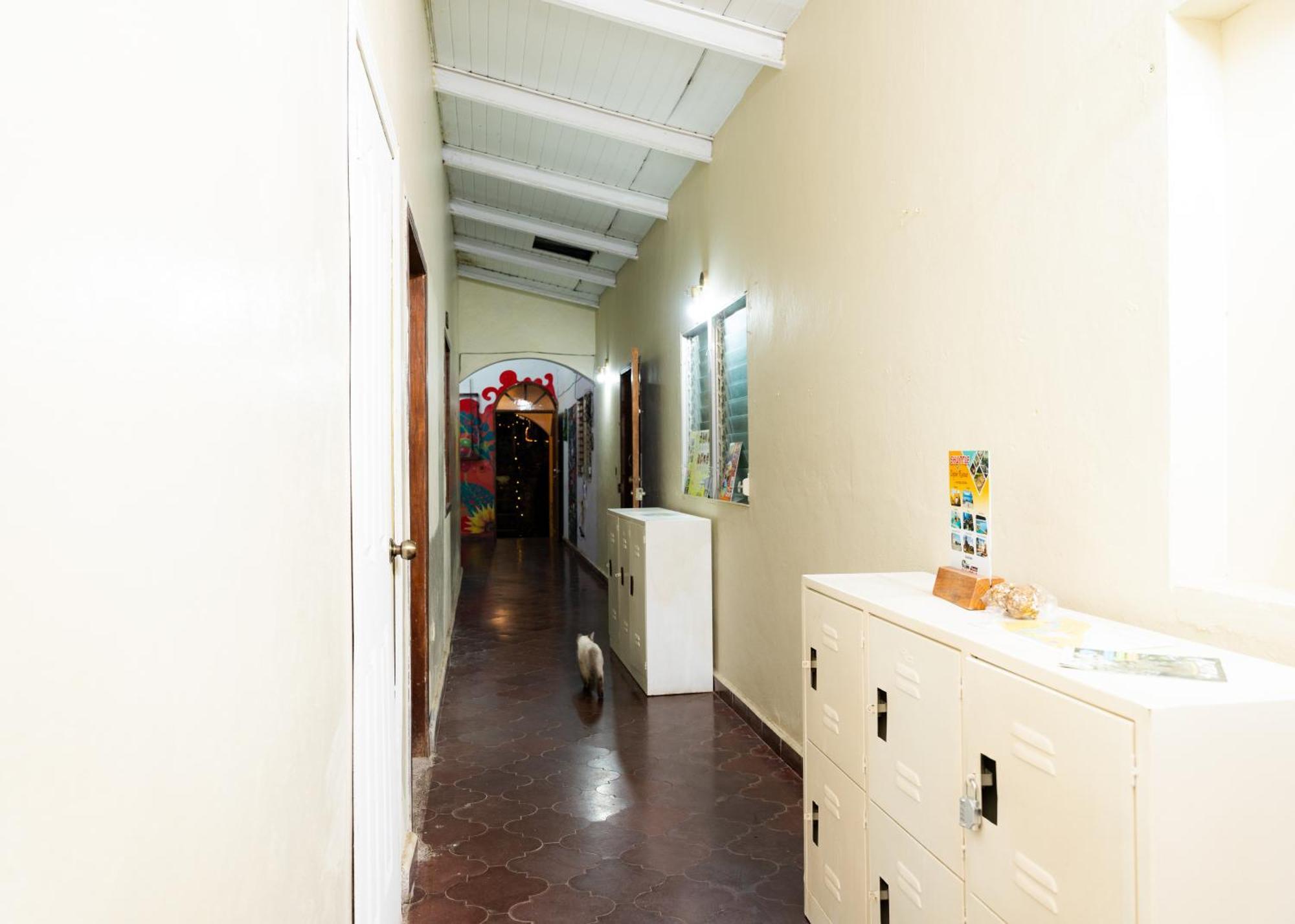 Stella Hostal - Central Park Copan Exterior photo
